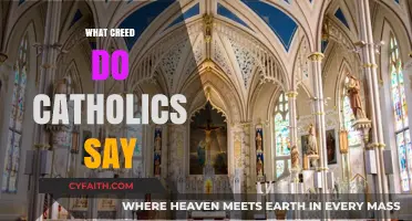 Understanding the Creed: What Catholics Recite in Their Faith Tradition