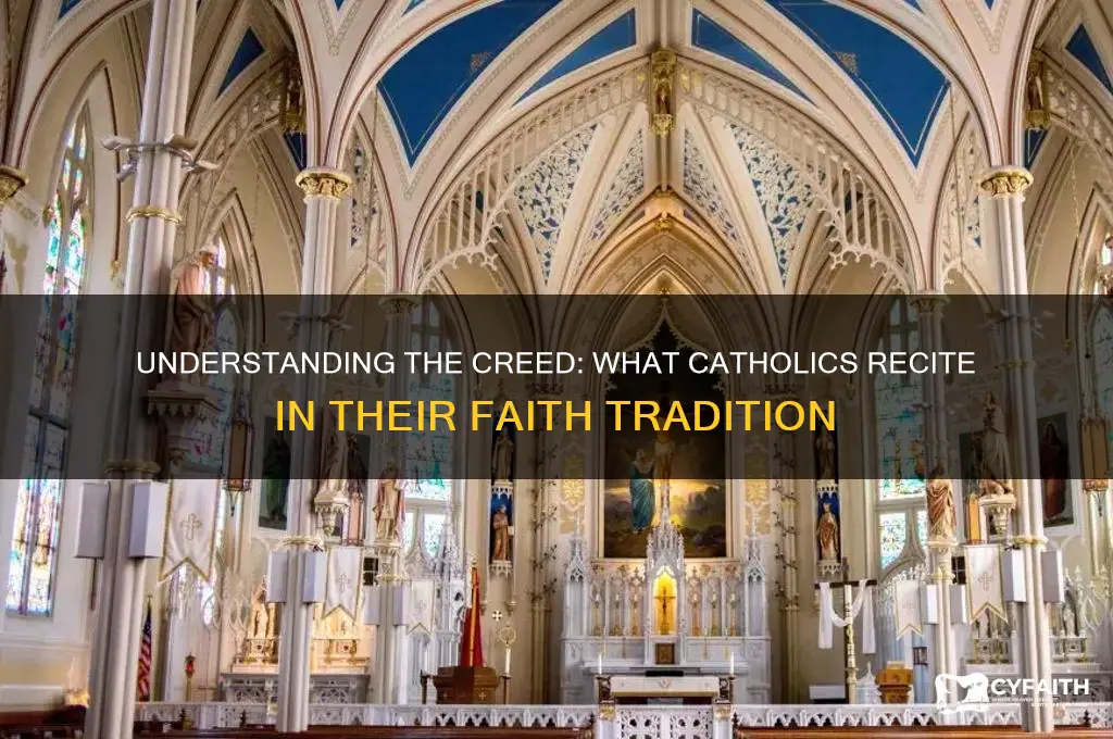 what creed do catholics say