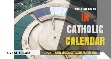 Understanding the Current Cycle in the Catholic Liturgical Calendar
