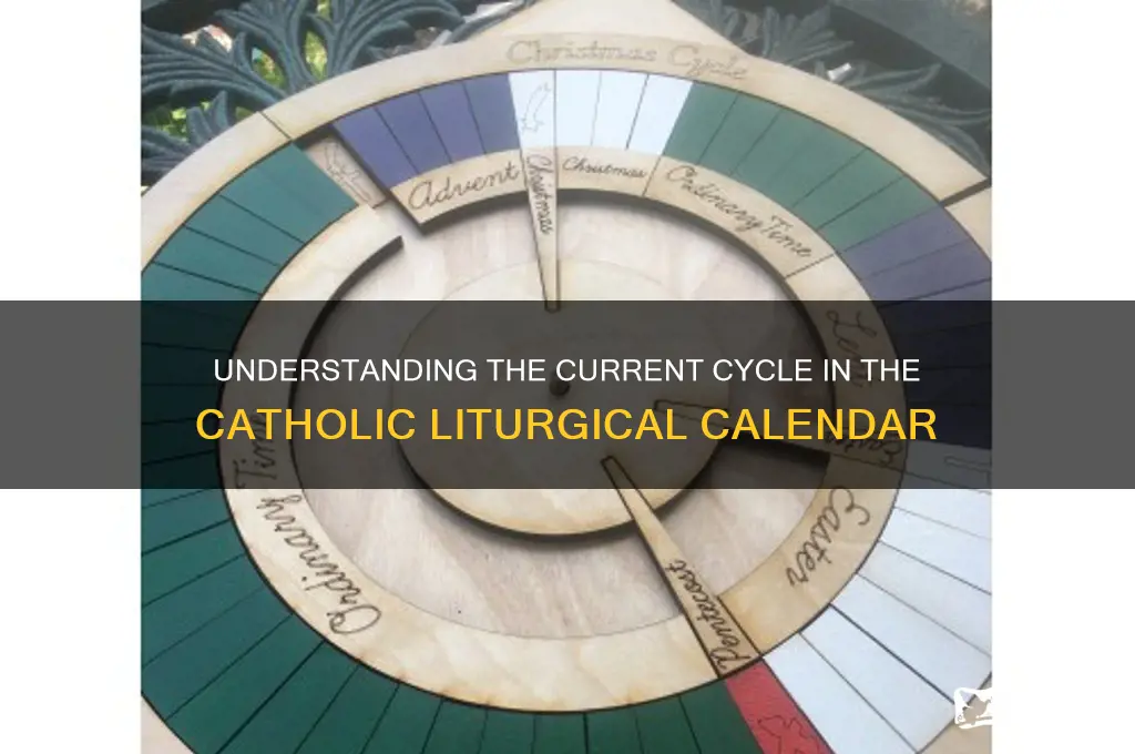 what cycle are we in catholic calendar
