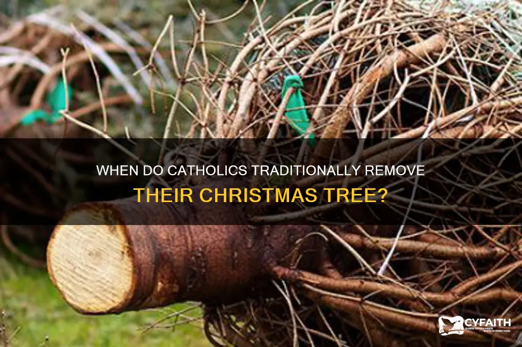 what day do catholics take christmas tree down
