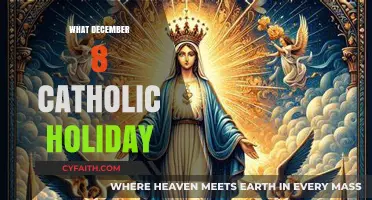 December 8: Celebrating the Solemnity of the Immaculate Conception