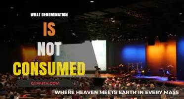 Exploring the Denomination That Remains Unconsumed in Religious Practices