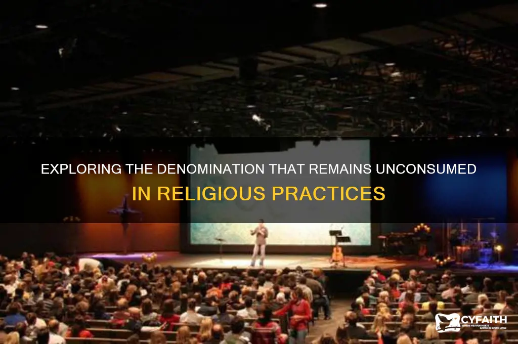 what denomination is not consumed