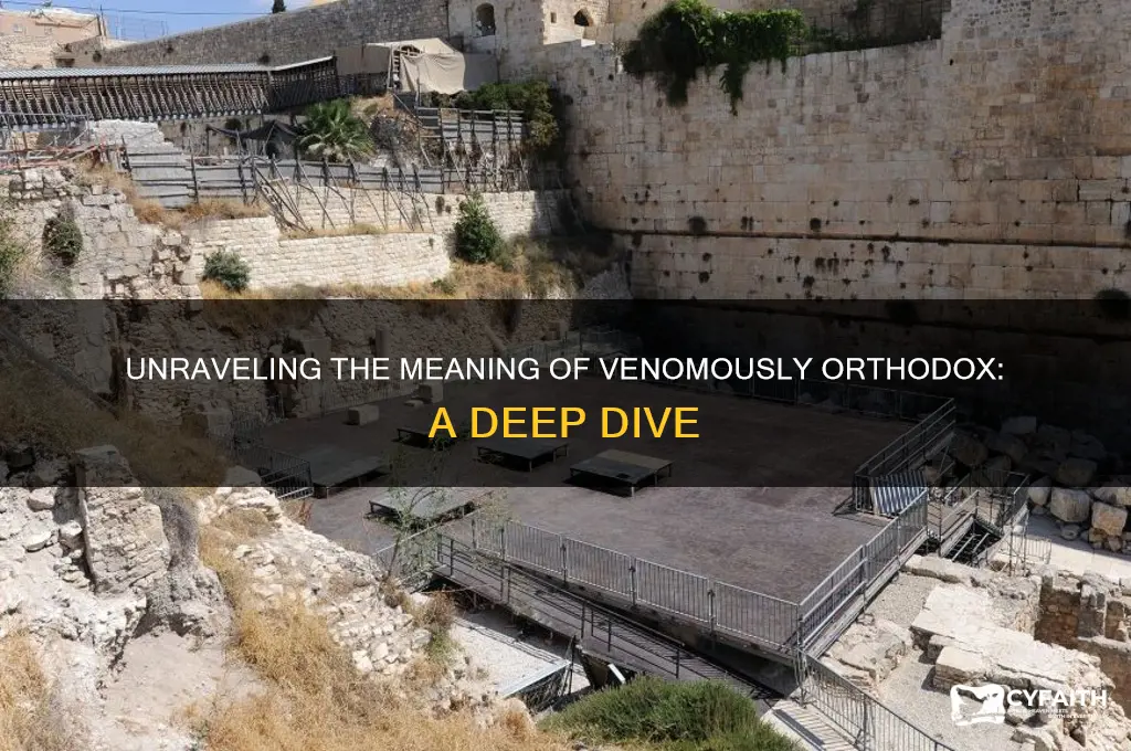 what deoes venomomously orthodox mean