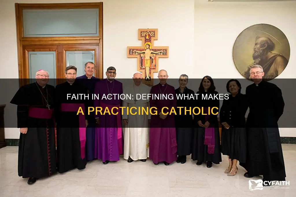 what determines a practicing catholic
