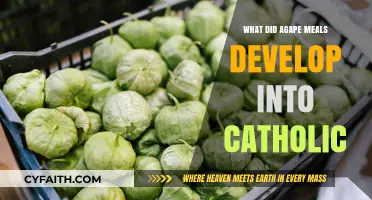 Agape Meals' Evolution: Origins and Growth in Catholic Tradition