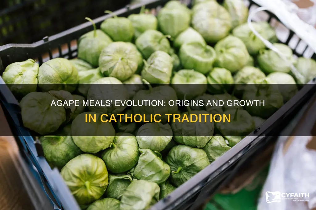 what did agape meals develop into catholic
