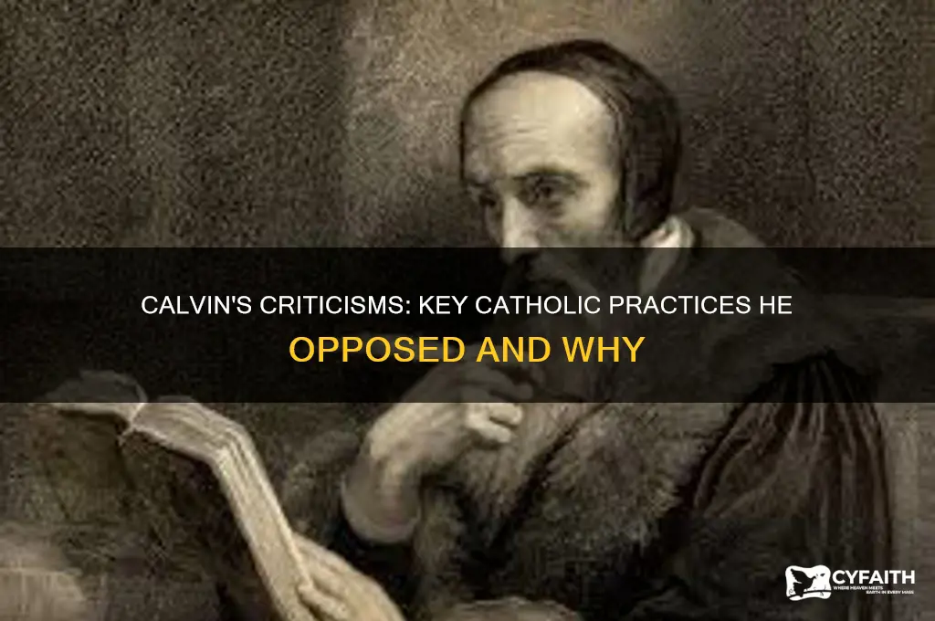 what did calvin dislike about catholism