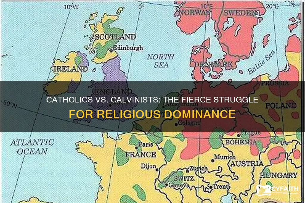 what did catholics and calvins fight to wi