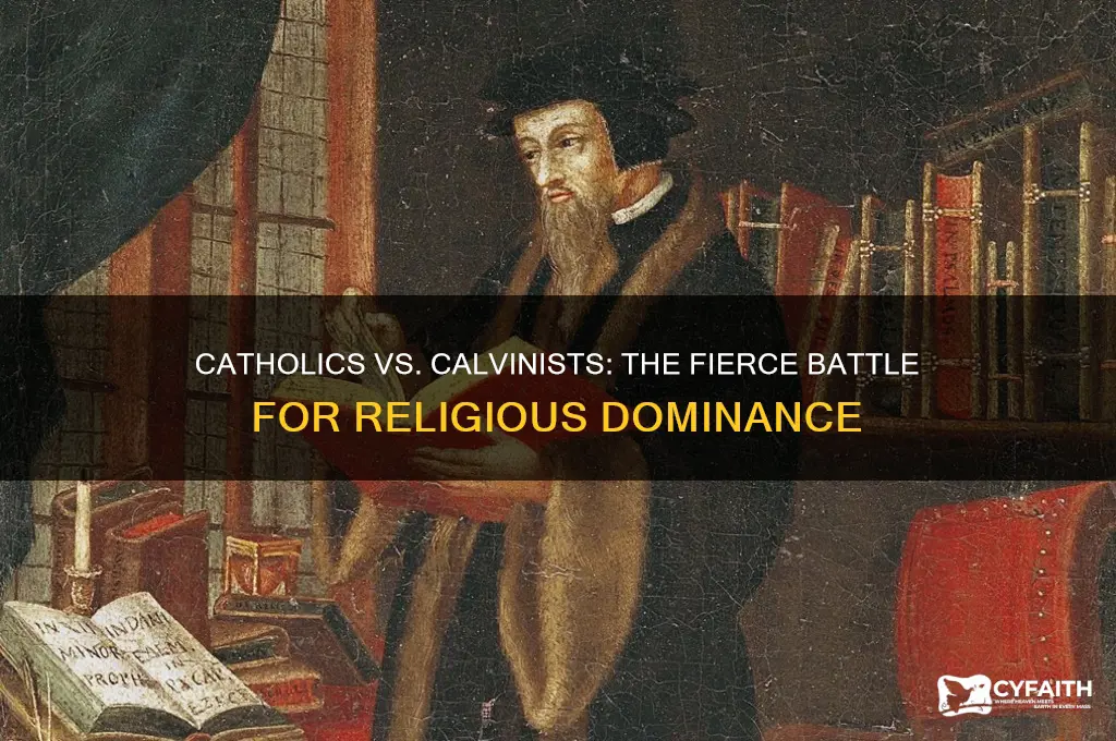 what did catholics and calvins fight to win