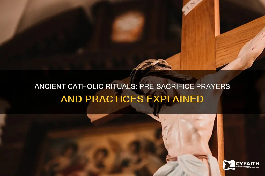 what did catholics say before they did a sacrafice