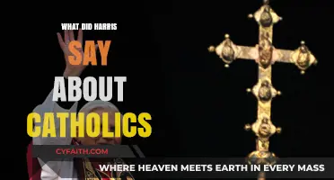 Harris's Remarks on Catholics: Context, Controversy, and Public Reaction