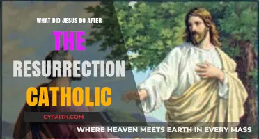 Jesus' Post-Resurrection Ministry: Catholic Insights and Teachings