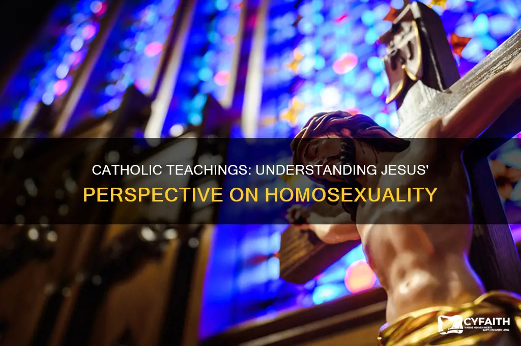 what did jesus say about homosexuality catholic