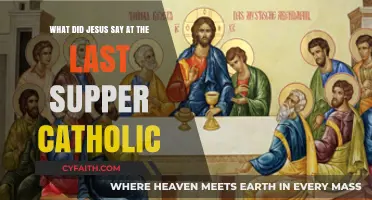Jesus' Last Supper Words: Catholic Insights and Sacred Teachings