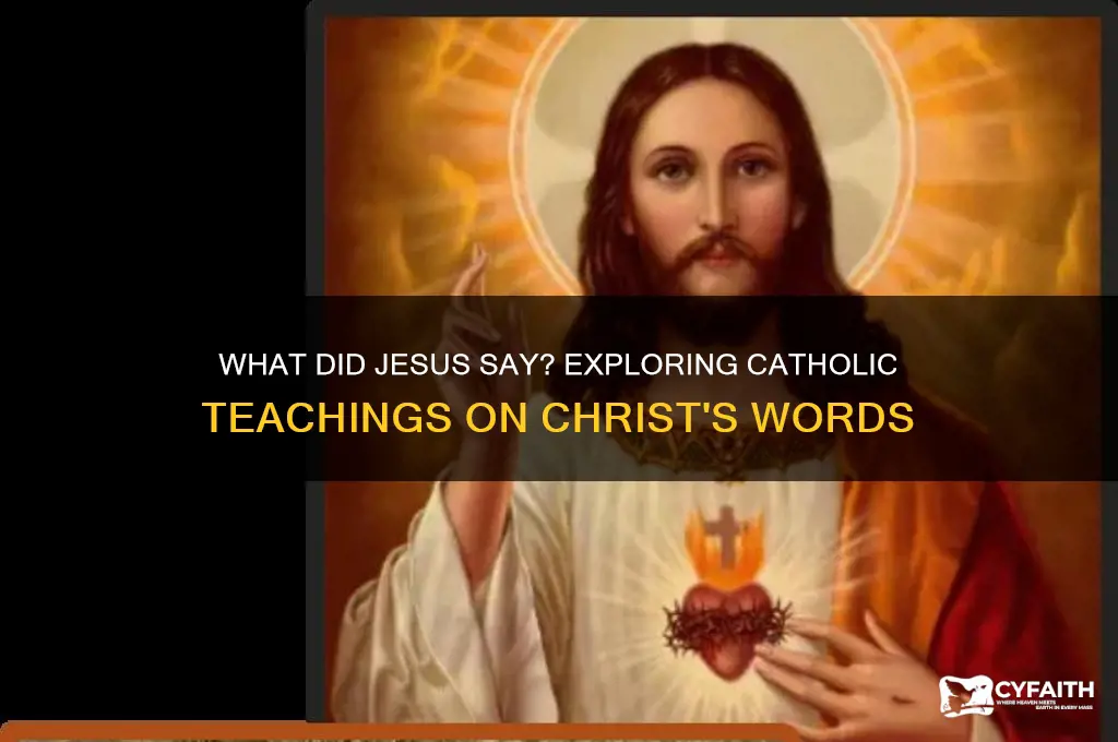 what did jesus say catholic