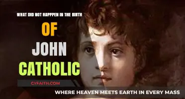 Unraveling Myths: The Birth of John the Catholic Re-Examined