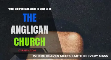 Puritan Reforms: Transforming Anglican Church Practices and Beliefs