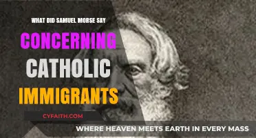 Samuel Morse's Anti-Catholic Views on Immigrant Inflows in America