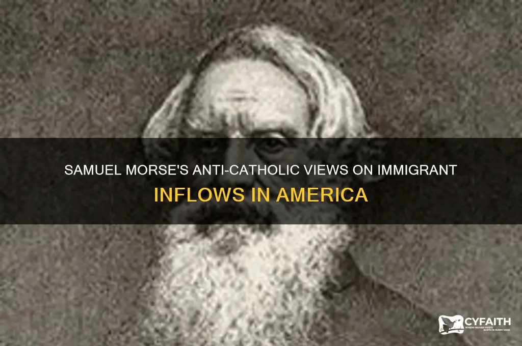 what did samuel morse say concerning catholic immigrants