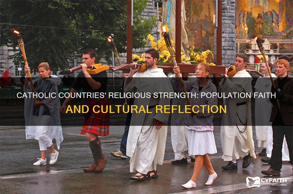 what did strength of population religion in catholic countries reflect