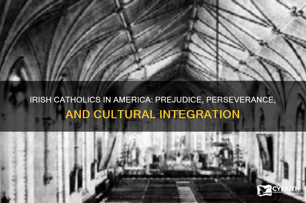 what did the americans do when irish catholics came