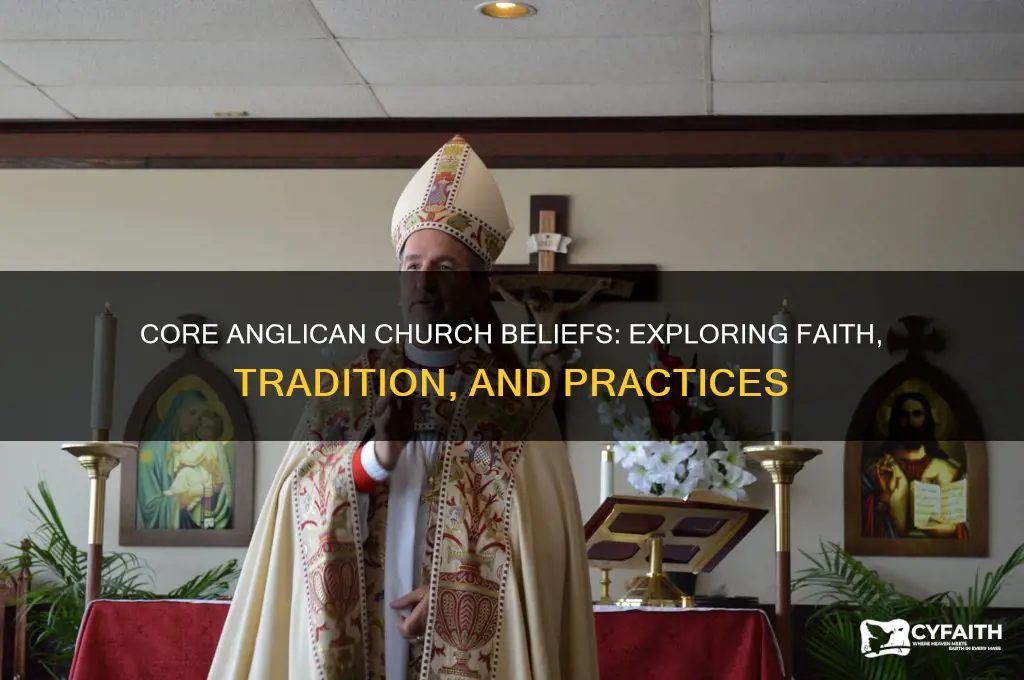 what did the anglican church believe