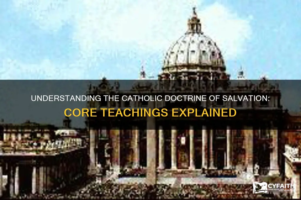 what did the catholic doctrine of salvation teach
