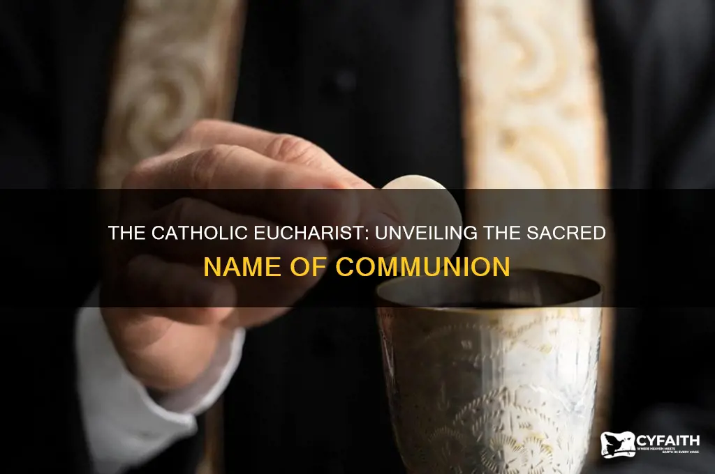 what did the catholics call communion