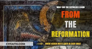 Lessons from the Reformation: Catholic Adaptations and Enduring Faith