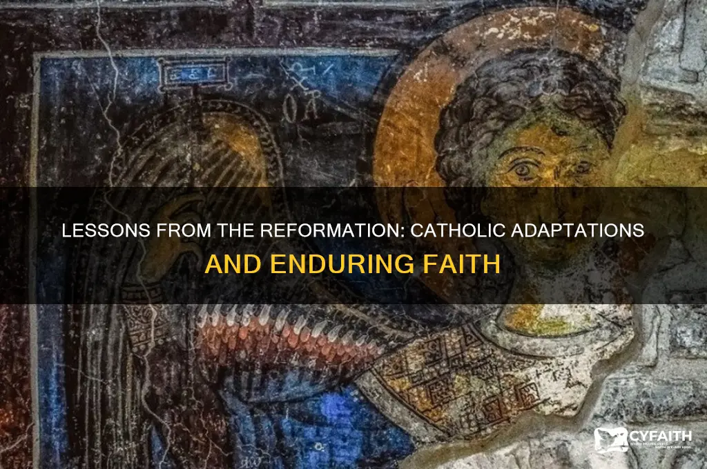what did the catholics learn from the reformation