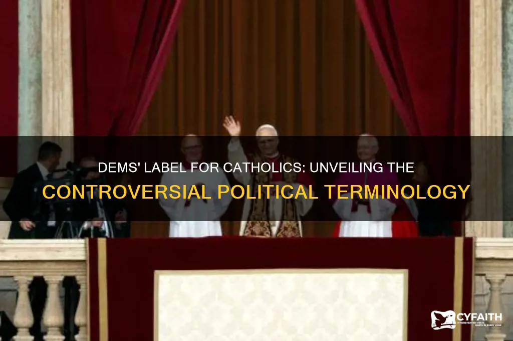 what did the dems call catholics