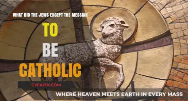 Jewish Messiah Expectations: Was a Catholic Savior Anticipated?