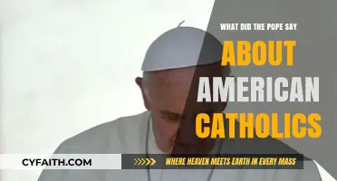 Pope's Remarks on American Catholics: Insights and Implications