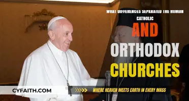 Divine Divide: Key Differences Between Catholic and Orthodox Churches