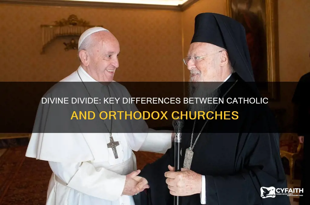 what differences separated the roman catholic and orthodox churches