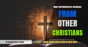 Distinct Catholic Beliefs: Key Differences from Other Christian Denominations