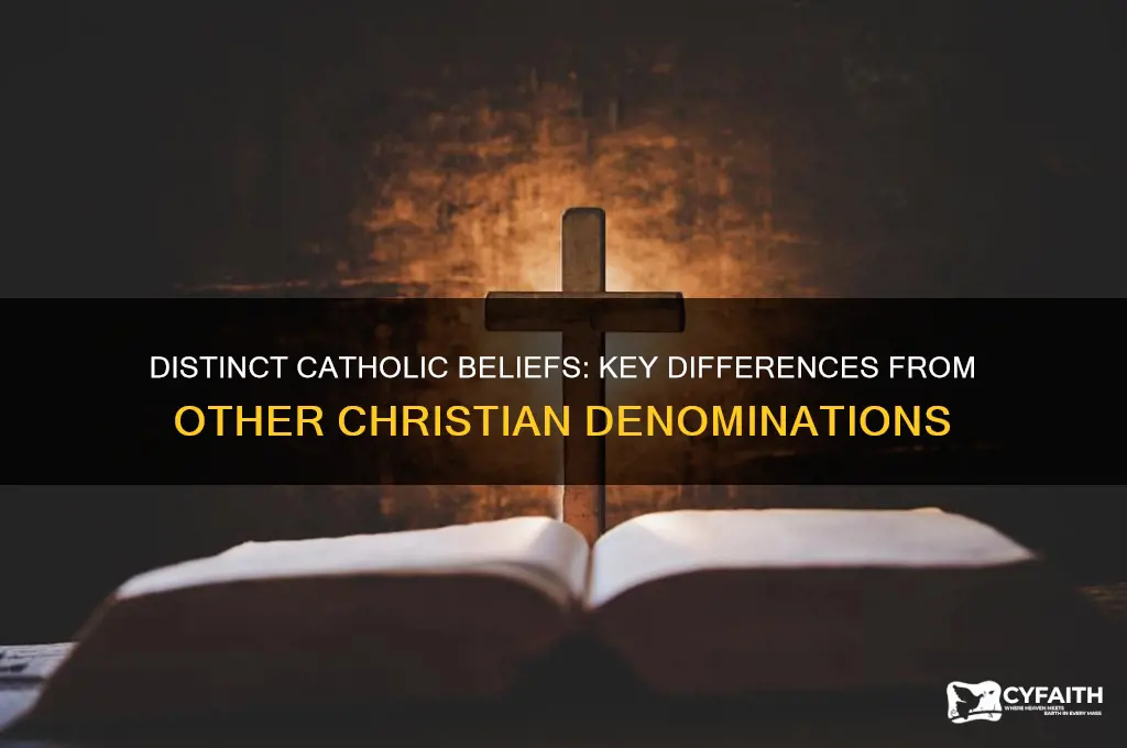 what differentiates catholics from other christians