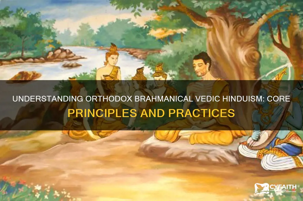 what difines orthodox brahmanical or vedic hinduism