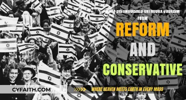 Orthodox vs. Reform & Conservative: Key Distinctions in Jewish Practice