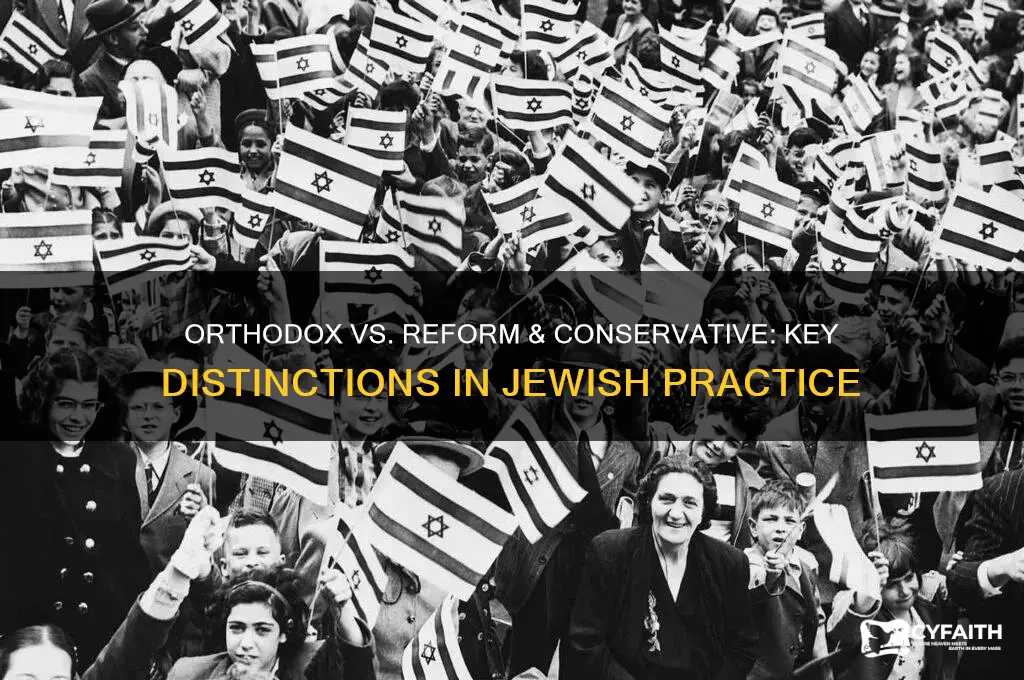 what distinguished orthodox judaism from reform and conservative