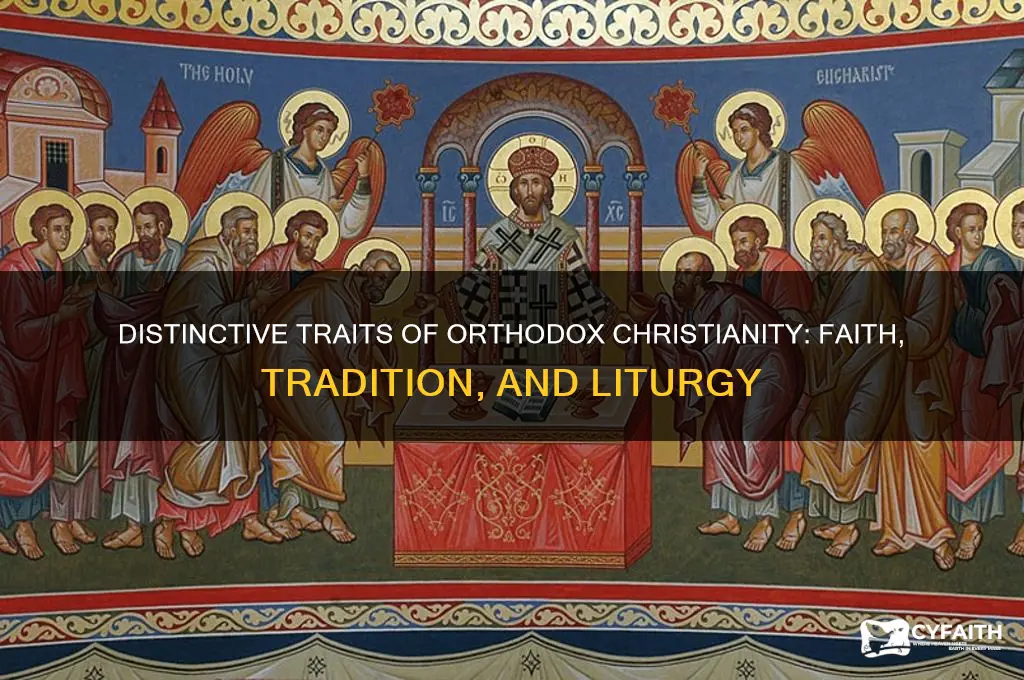 what distinguishes the orthodox christianity