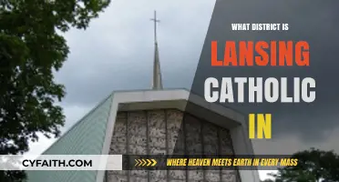 Lansing Catholic High School's District Affiliation Explained