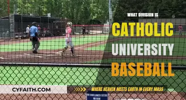 Catholic University Baseball Division: NCAA Level and Conference Explained
