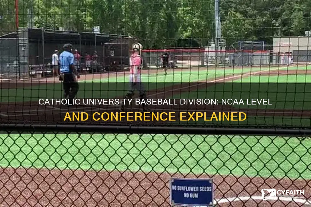 what division is catholic university baseball