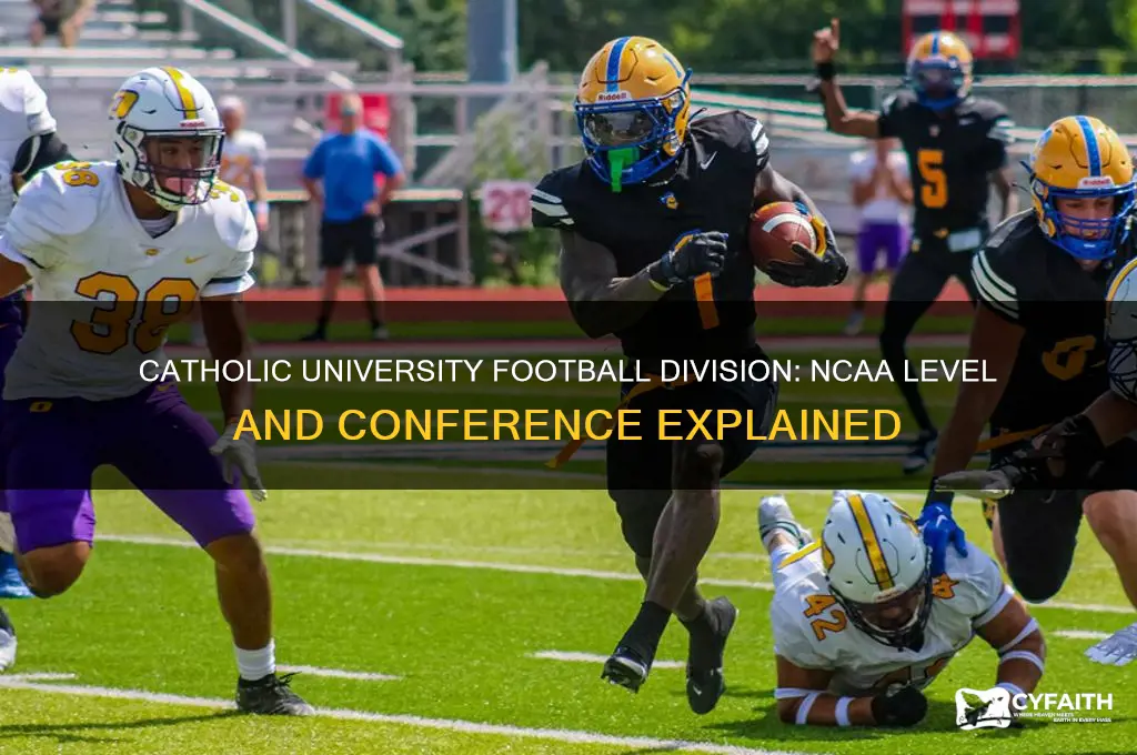 what division is catholic university football