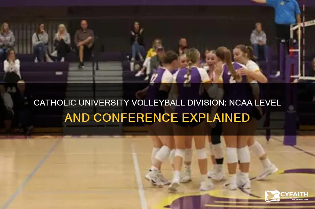 what division is catholic university volleyball
