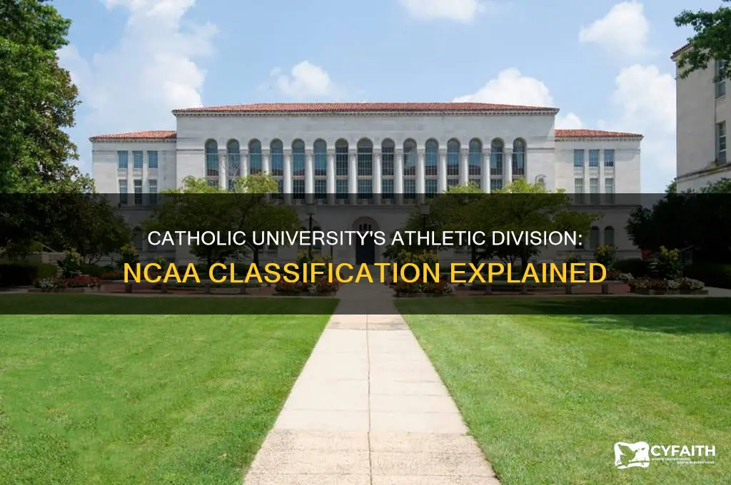 what division is catholic university