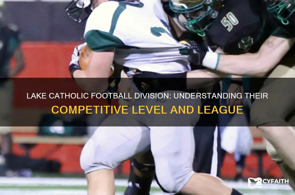 what division is lake catholic football